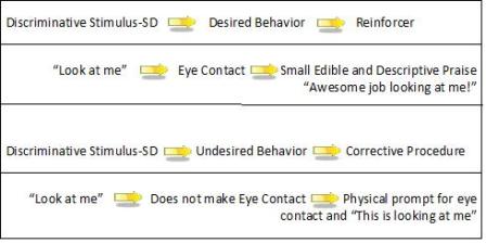 discrete trial training diagram