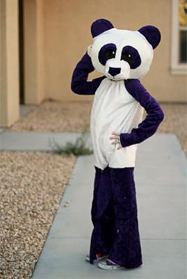 purple panda fashion pose!