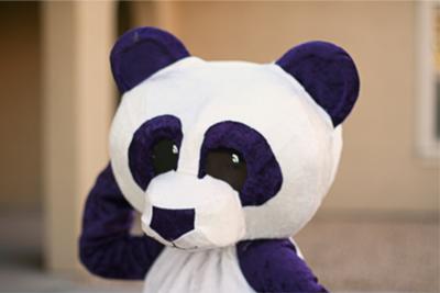 Purple panda head