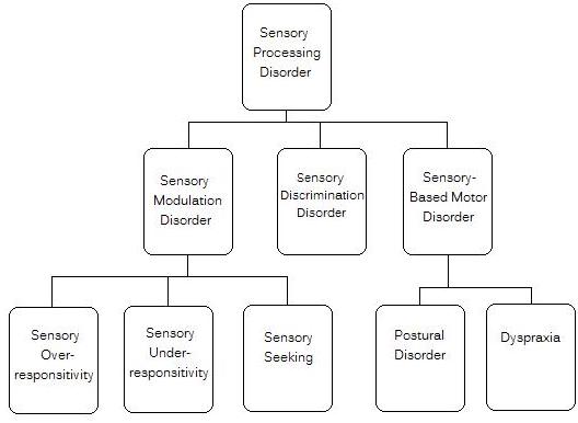 Diagram explaining different subtypes of sensory processing disorder