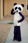 purple panda fashion pose!