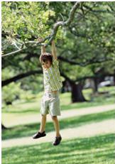 child hanging on a branch engaging in sensory seeking behavior
