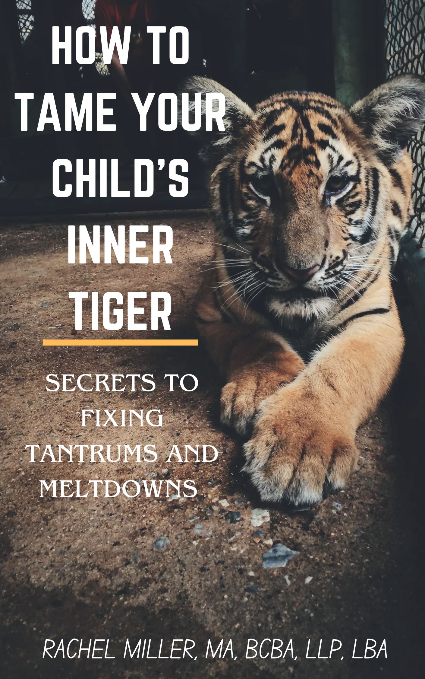 new how to train tiger cover